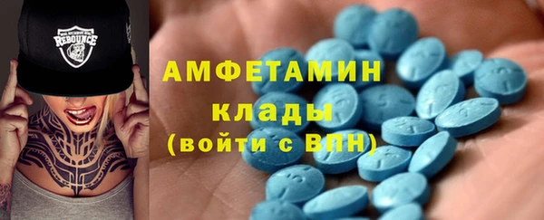 гидра Богородск