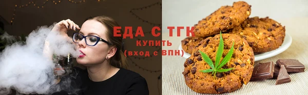 гидра Богородск