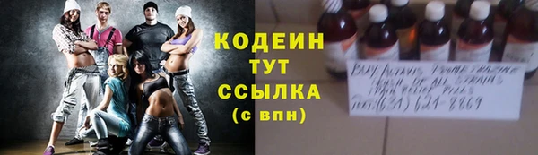 гидра Богородск