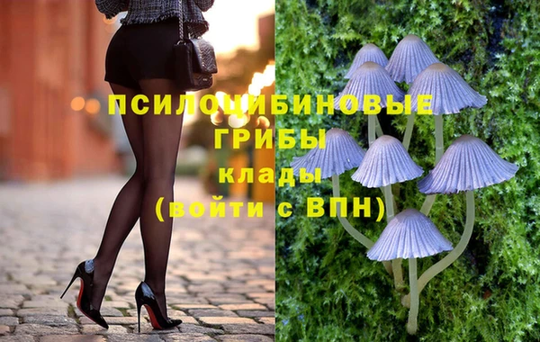 a pvp Богданович