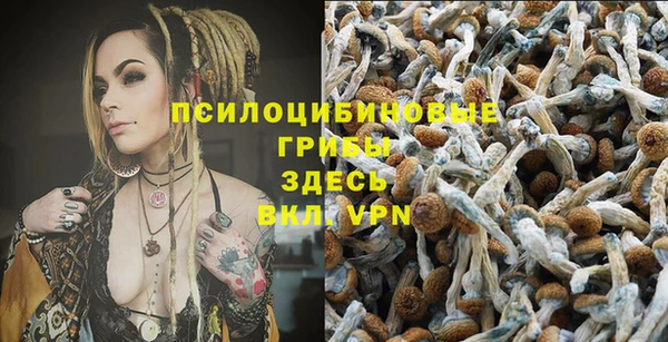 a pvp Богданович