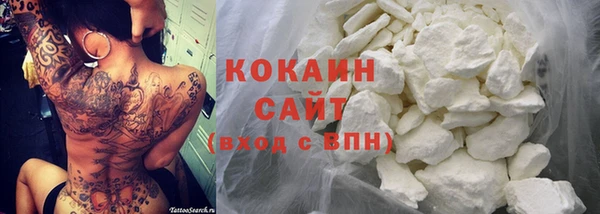гидра Богородск
