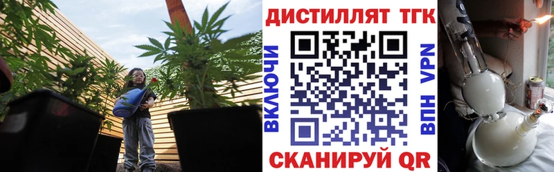 Купить где  Кунгур  Дистиллят ТГК Wax 