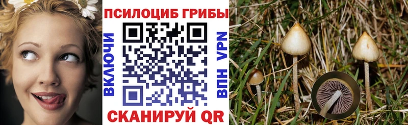 Галлюциногенные грибы Magic Shrooms  Купить  Кунгур 